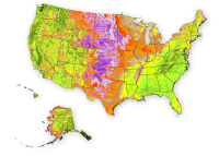 Wind Map Wind Map